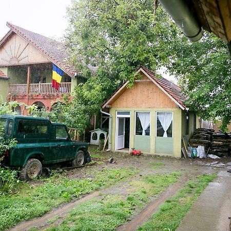Pensiune Muzeu Traditional Poveste In Transilvania Sighişoara Dış mekan fotoğraf
